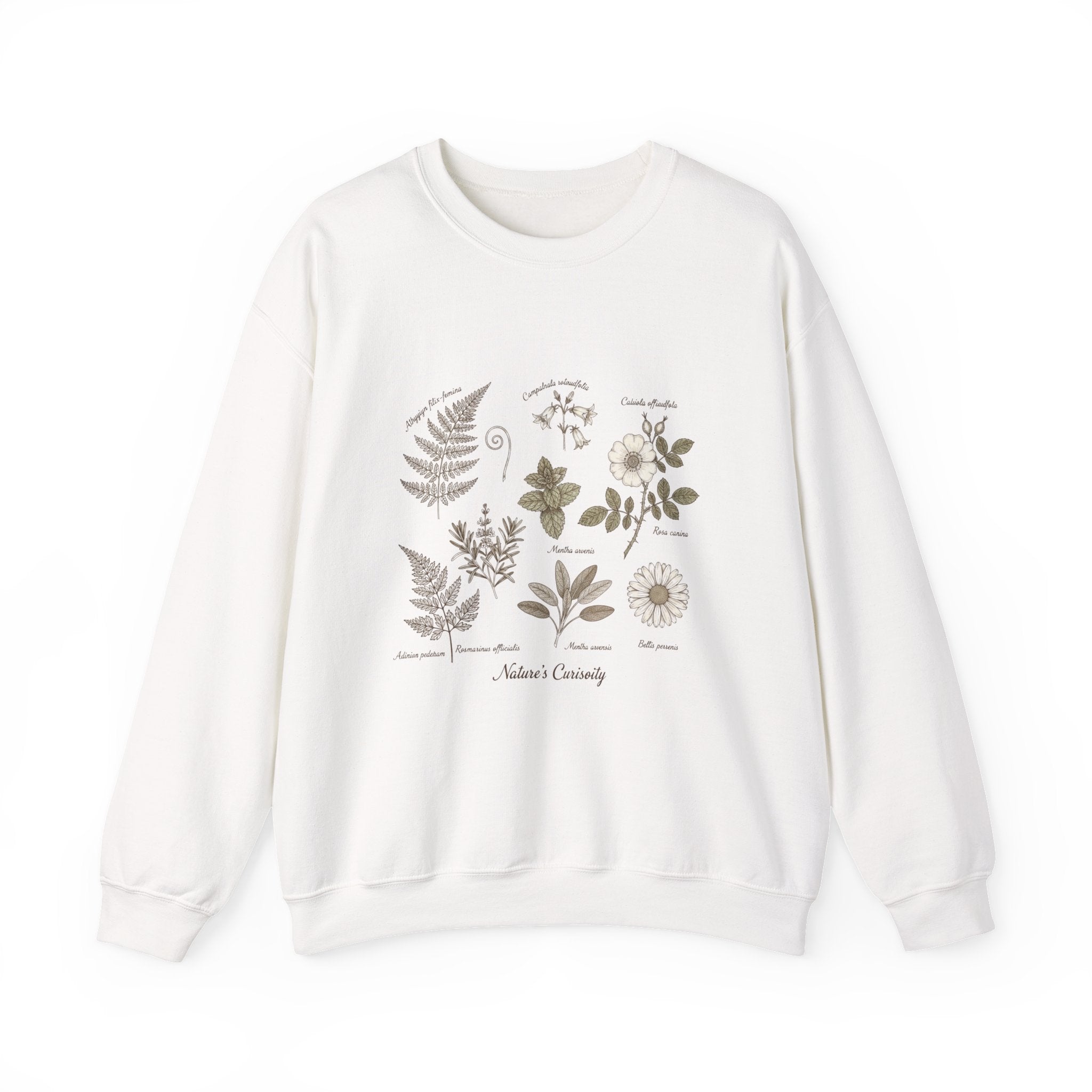 Botanical Illustration Crewneck Sweatshirt | vintage plant diagram, scientific nature art