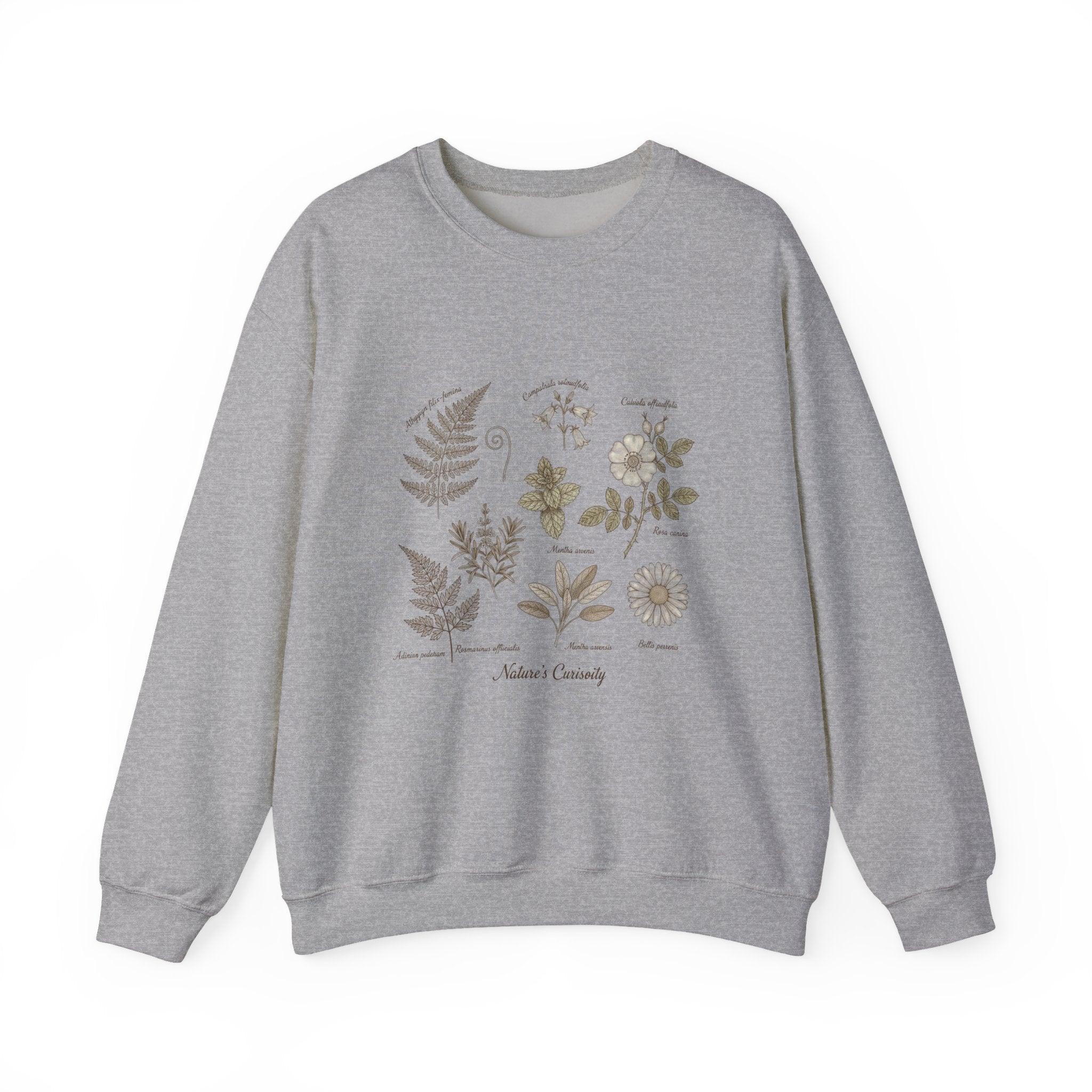 Botanical Illustration Crewneck Sweatshirt | vintage plant diagram, scientific nature art