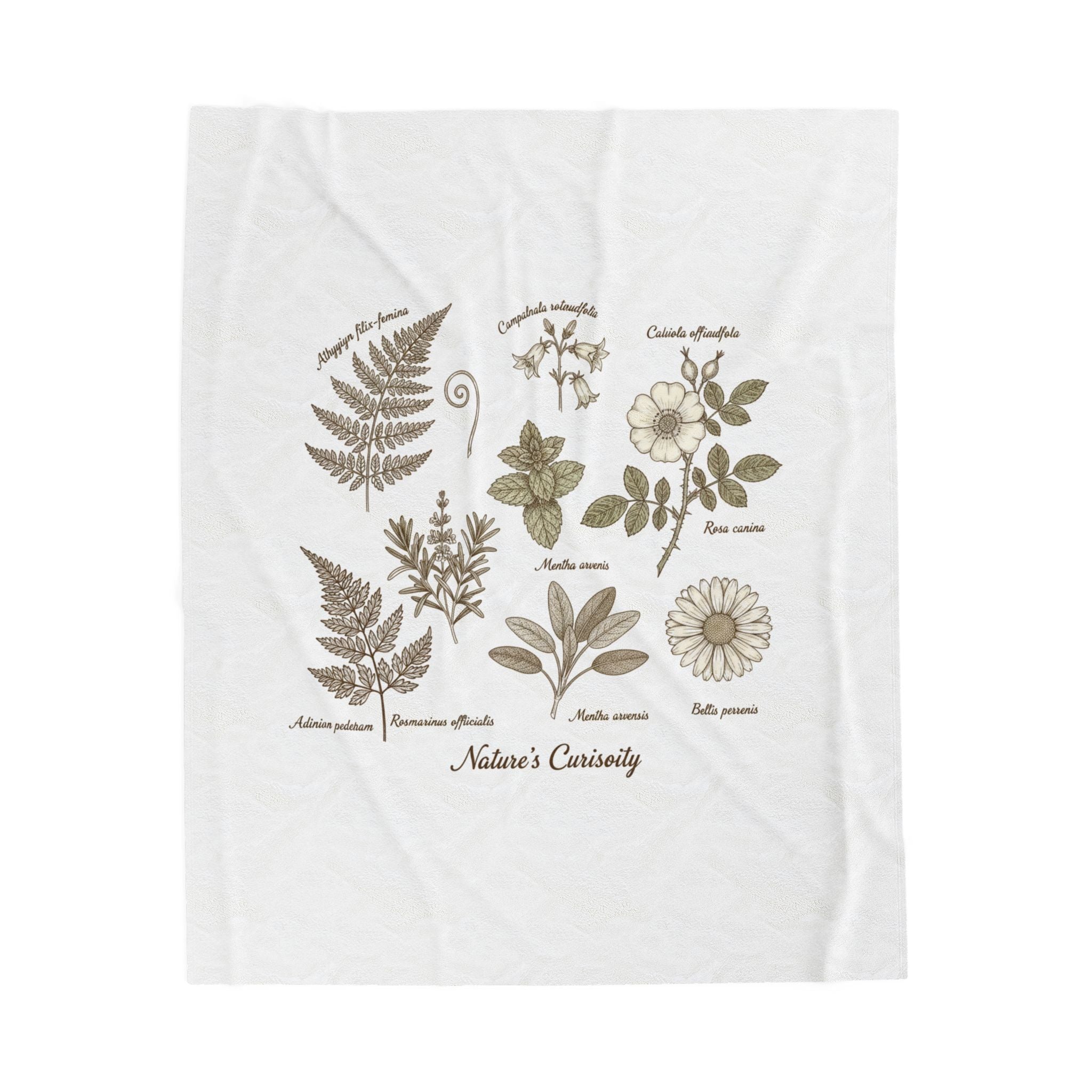 Botanical Anatomy Illustration Velveteen Plush Blanket | vintage plant diagram, herbarium art