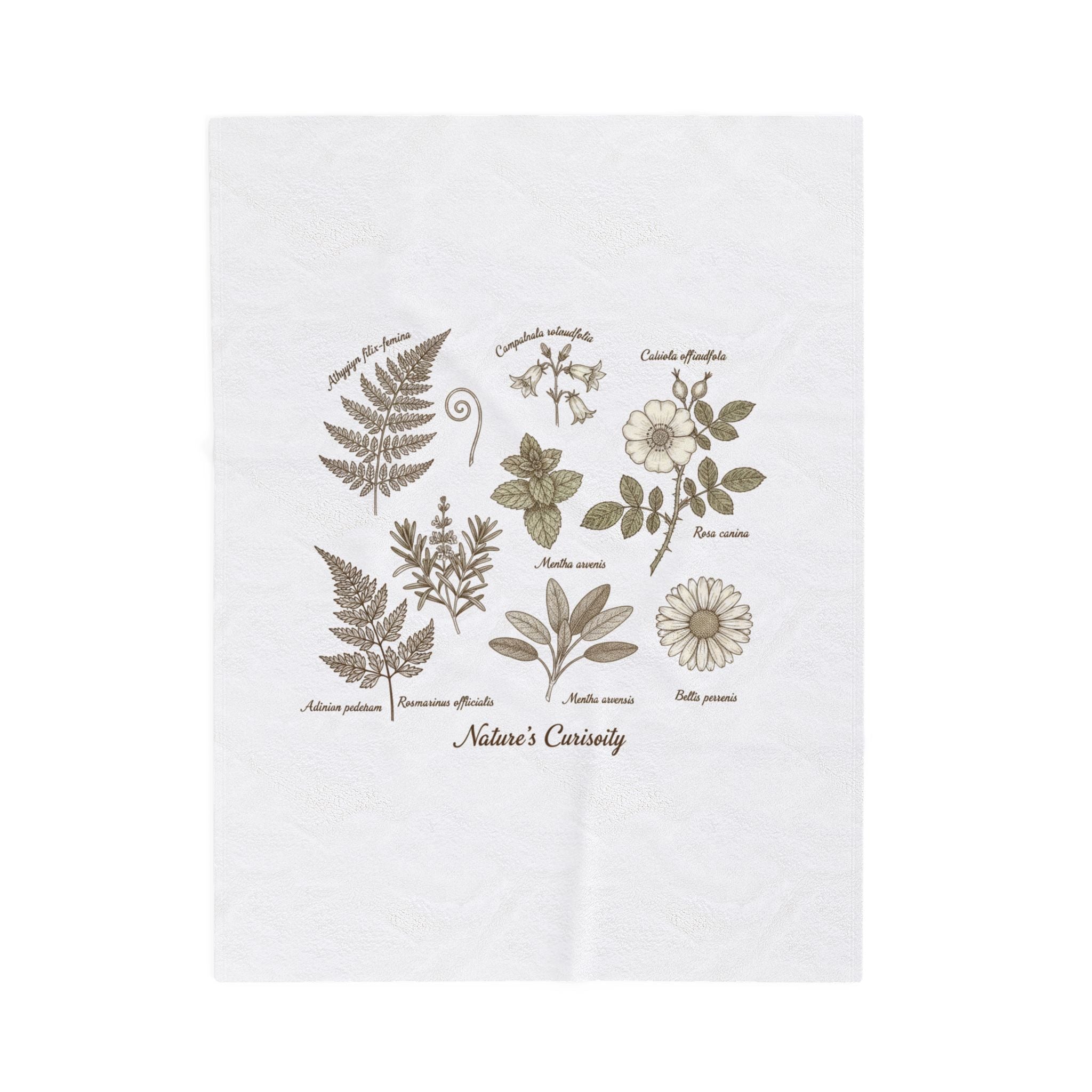 Botanical Anatomy Illustration Velveteen Plush Blanket | vintage plant diagram, herbarium art